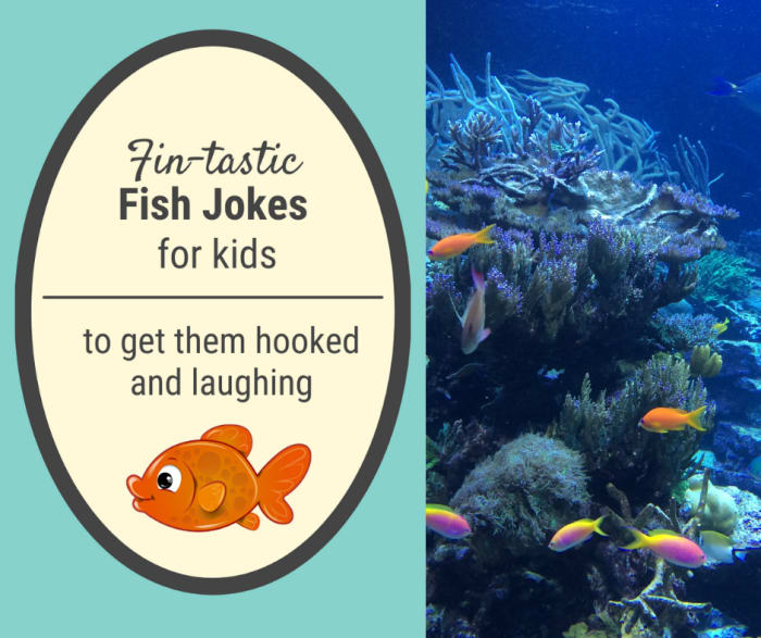 funny fish jokes for kids funny fish jokes for kids